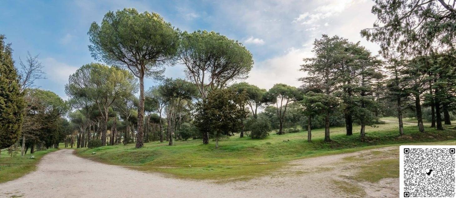 Rozas Centro Con Parking Incluido Apartment